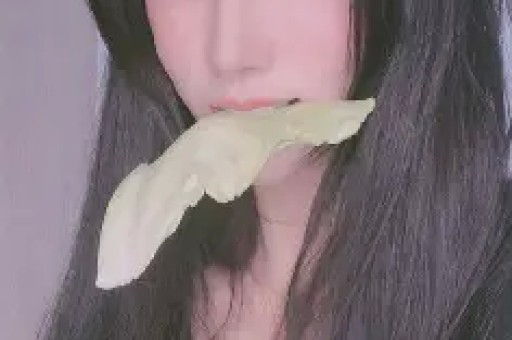 【图】介绍腹内斜肌的作用核心训练不可放松